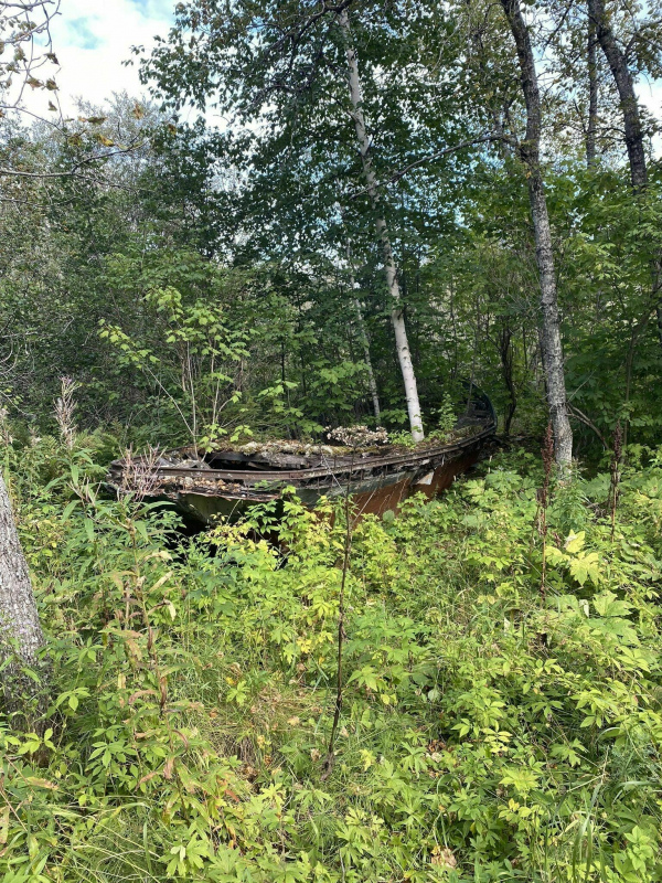 Clearwater Creek Trail