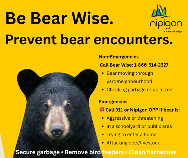 Be Bear Wise, Nipigon